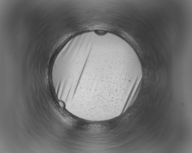 X0000080710298200701121824