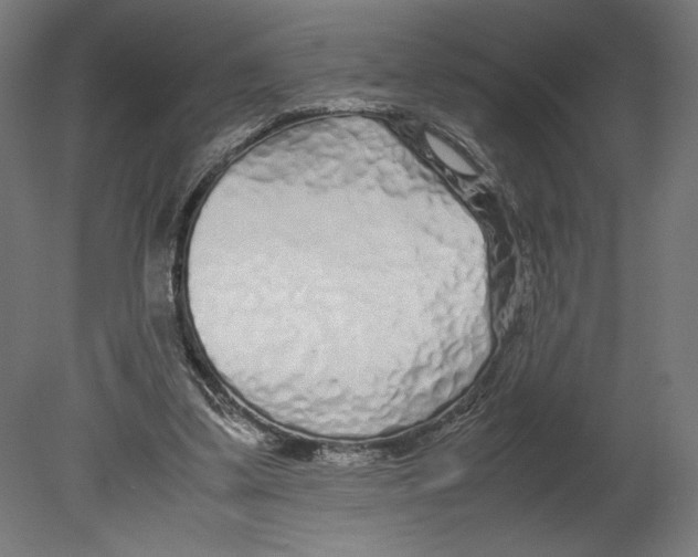 X0000080710299200701121824