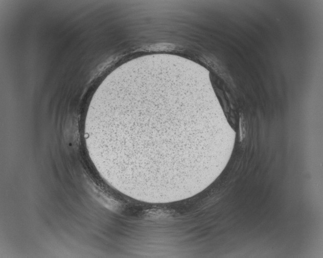 X0000080710300200701121824