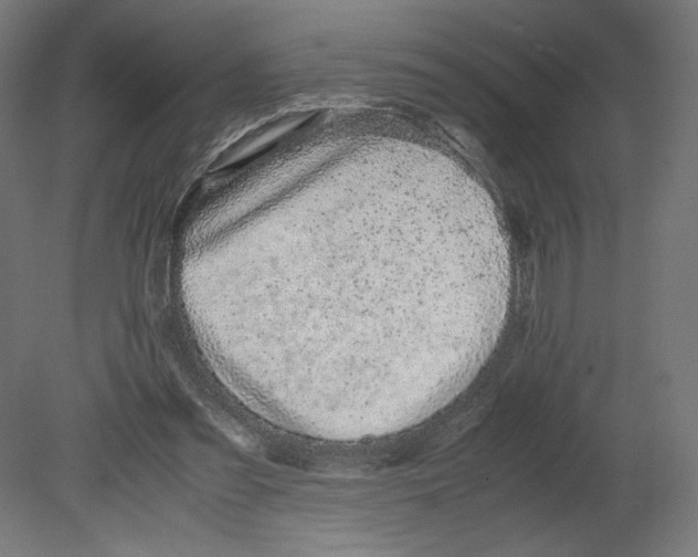 X0000080710301200701121824