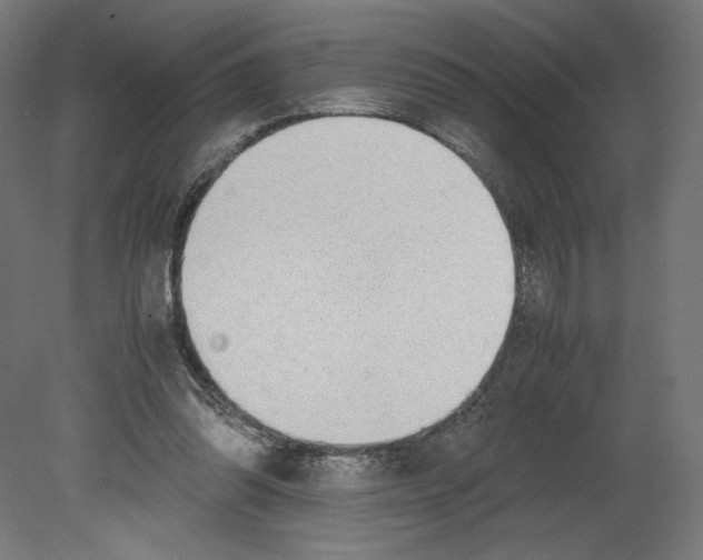 X0000080710302200701121824