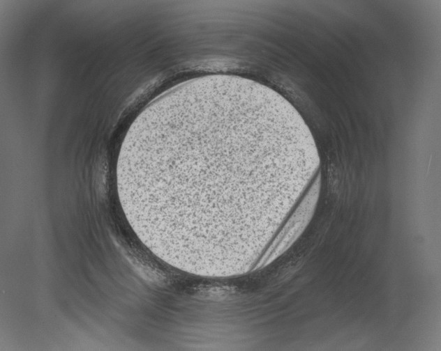 X0000080710304200701121824