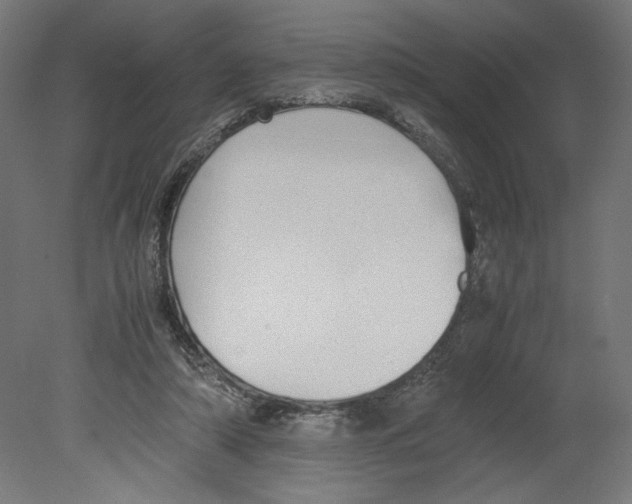 X0000080710306200701121824