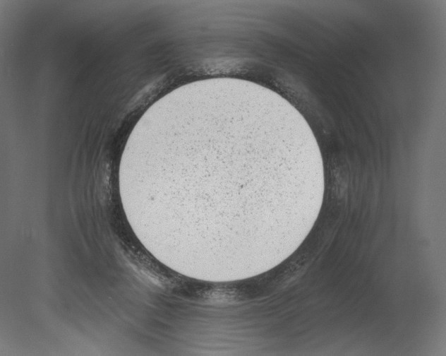 X0000080710308200701121824