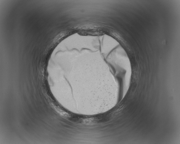 X0000080710309200701121824