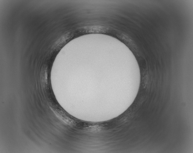 X0000080710310200701121824