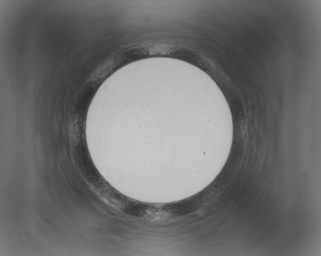 X0000080710311200701121824