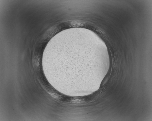 X0000080710315200701121824