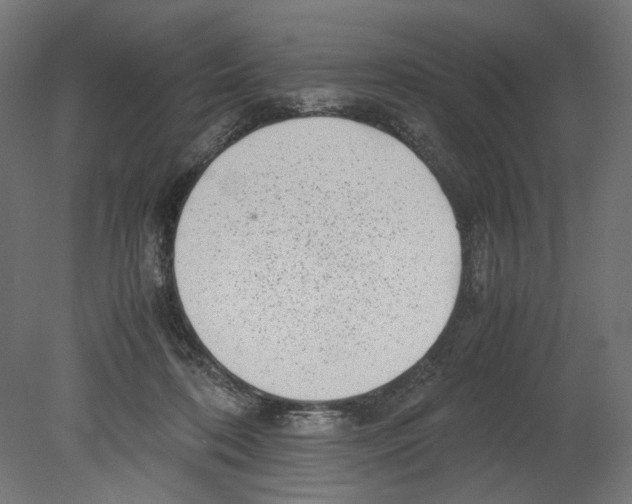 X0000080710316200701121824