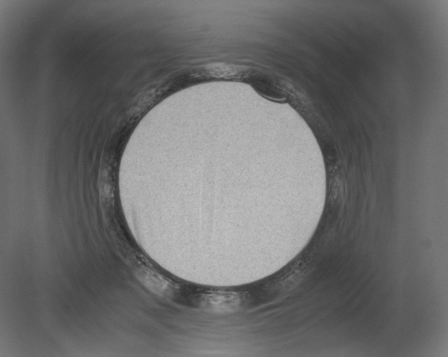 X0000080710317200701121824