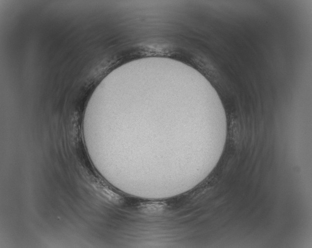 X0000080710318200701121824