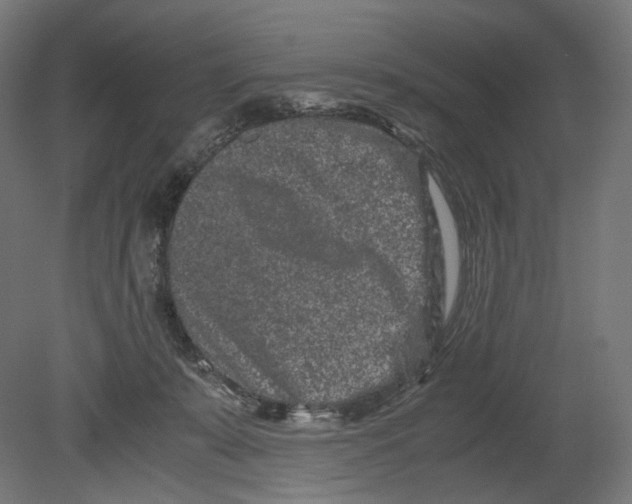 X0000080710319200701121824