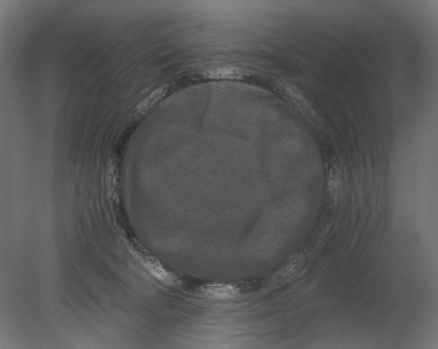 X0000080710322200701121824