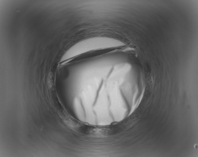 X0000080710323200701121824