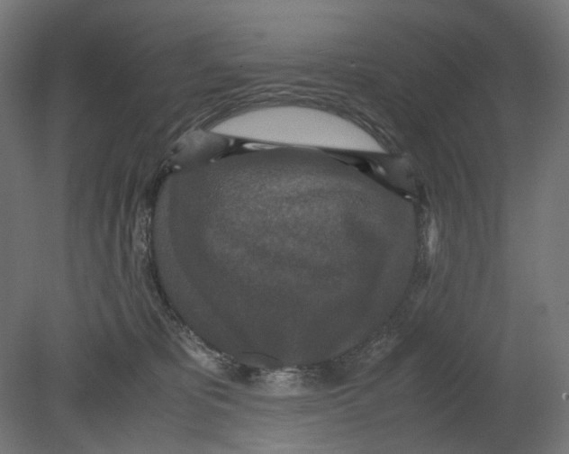 X0000080710325200701121824