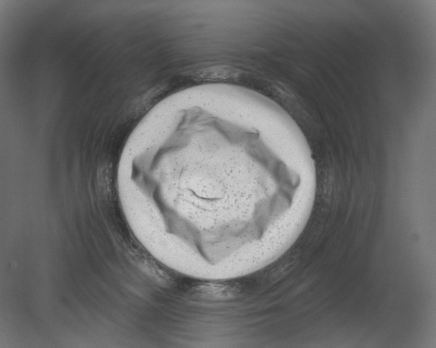 X0000080710326200701121824