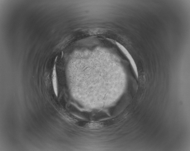 X0000080710327200701121824