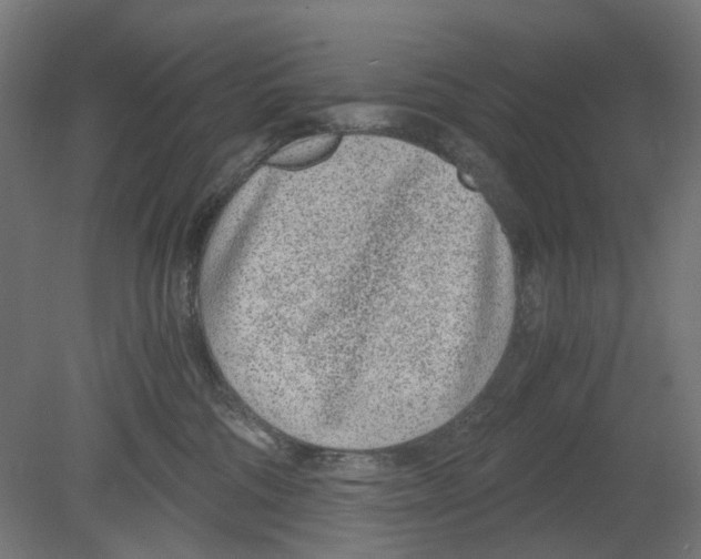 X0000080710330200701121824