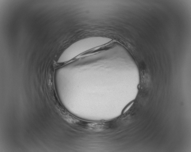 X0000080710331200701121824