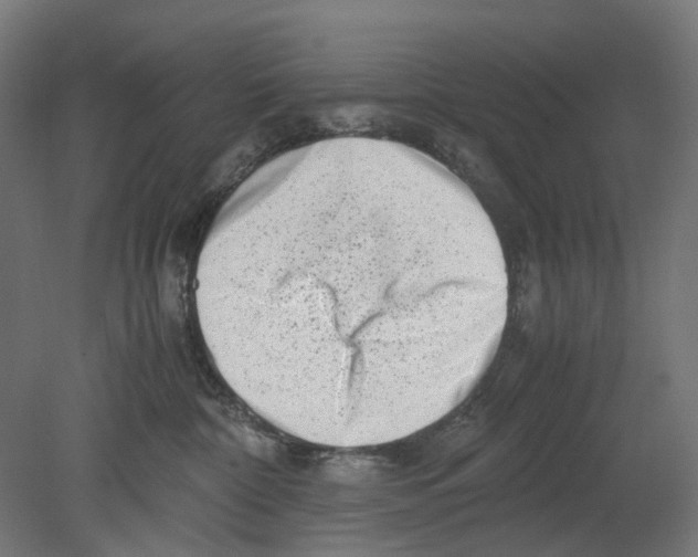 X0000080710332200701121824