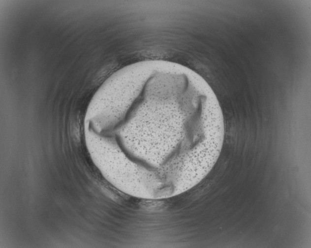 X0000080710334200701121824