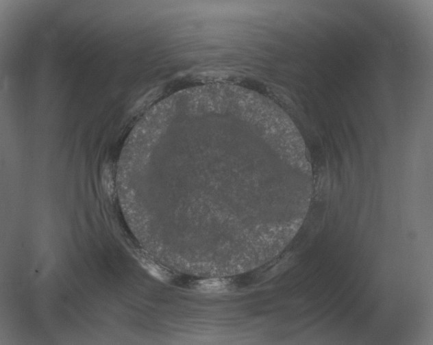 X0000080710335200701121824