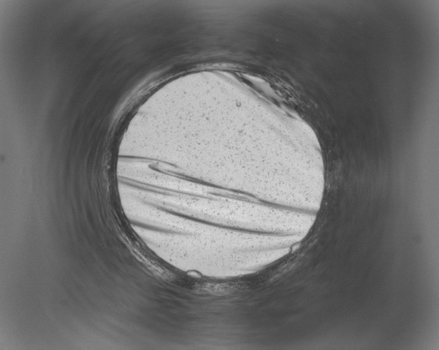 X0000080710341200701121823