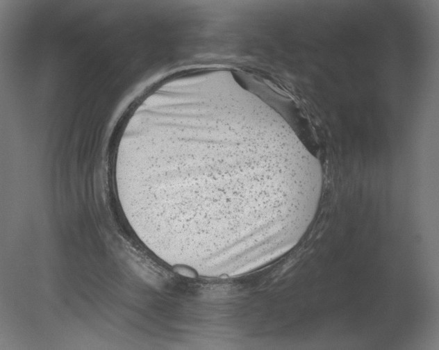 X0000080710342200701121823