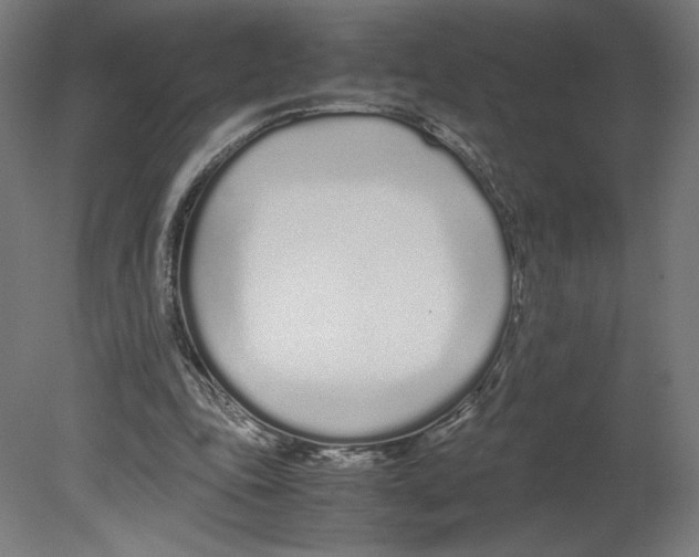 X0000080710343200701121823