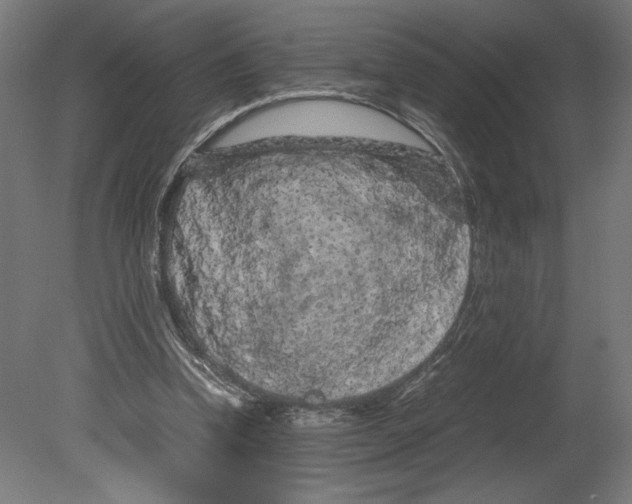 X0000080710346200701121823