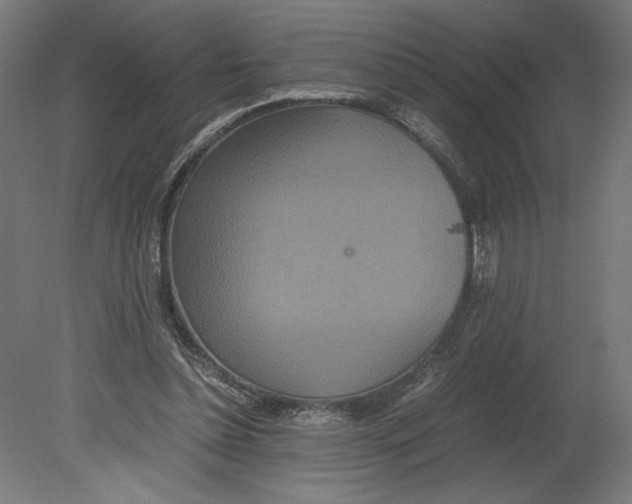 X0000080710348200701121823