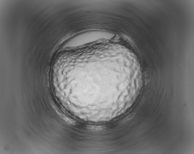 X0000080710349200701121823