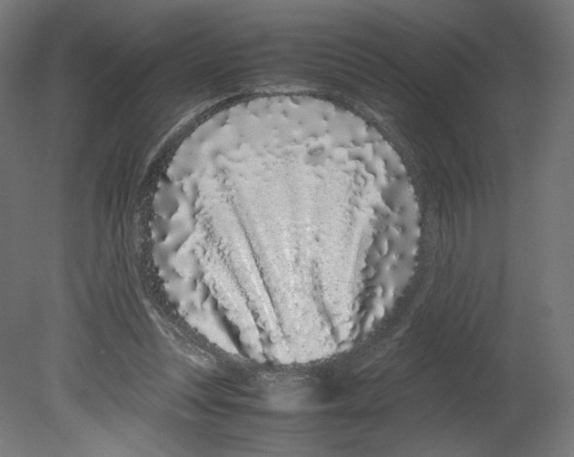 X0000080710351200701121823