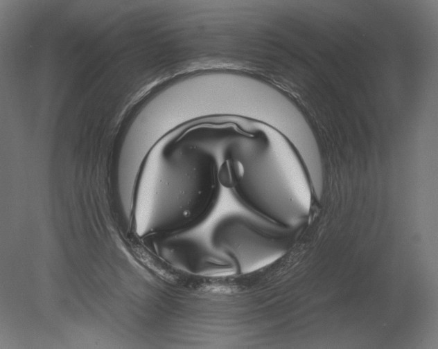 X0000080710352200701121823