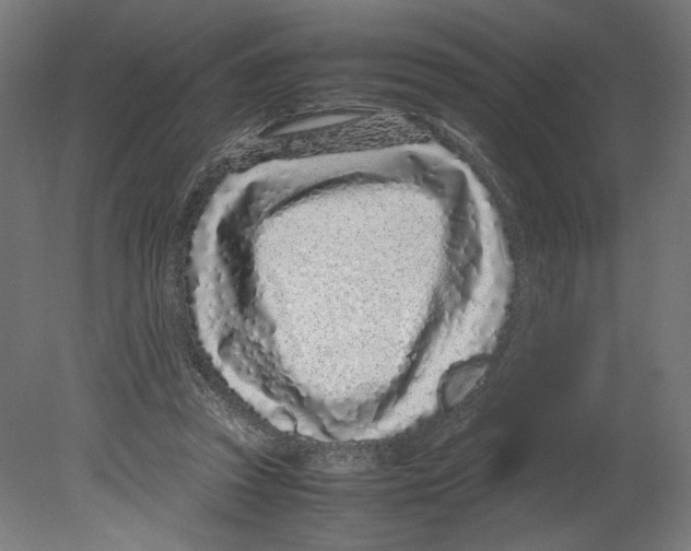 X0000080710353200701121823