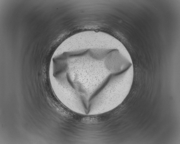 X0000080710354200701121823