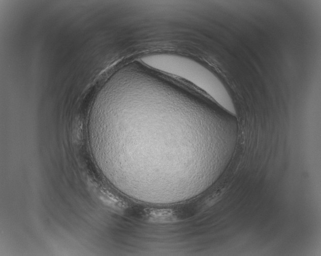 X0000080710355200701121823