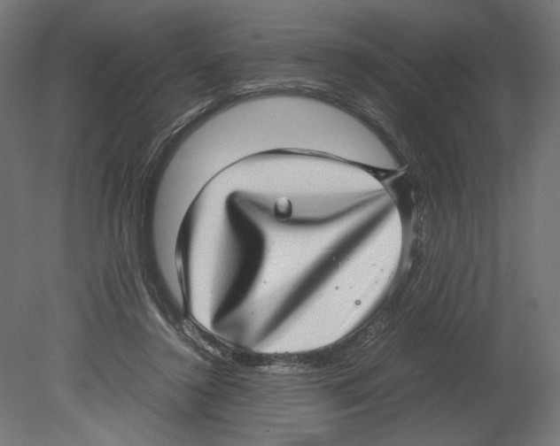 X0000080710356200701121823