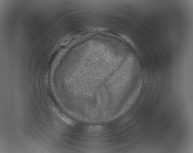 X0000080710357200701121823