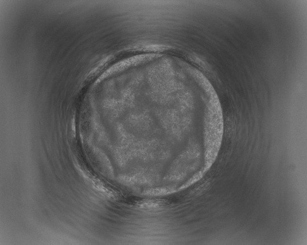 X0000080710358200701121823