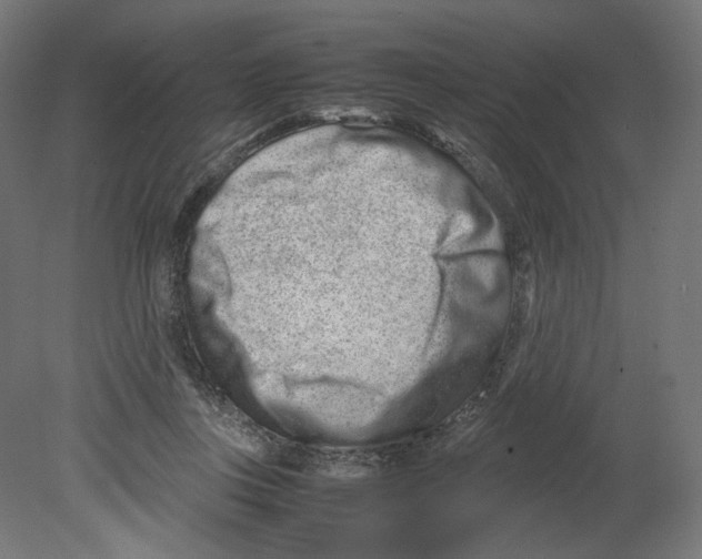 X0000080710359200701121823