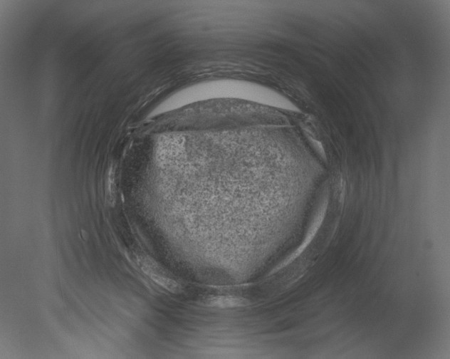 X0000080710360200701121823