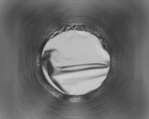 X0000080710362200701121823