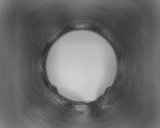 X0000080710363200701121823