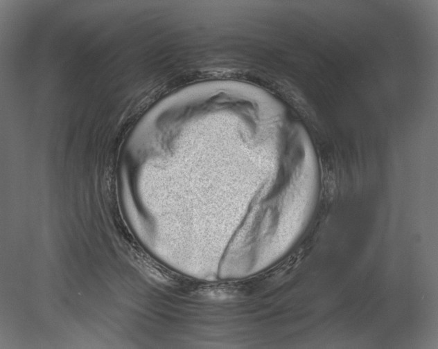 X0000080710365200701121823