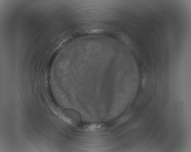 X0000080710366200701121823