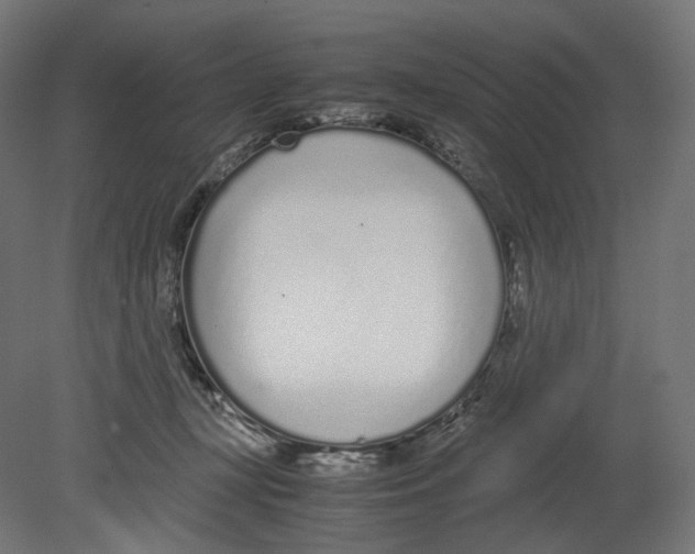 X0000080710367200701121823