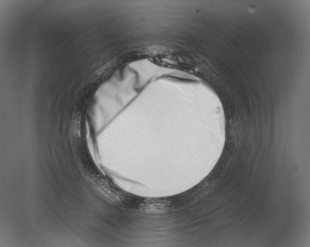 X0000080710368200701121824