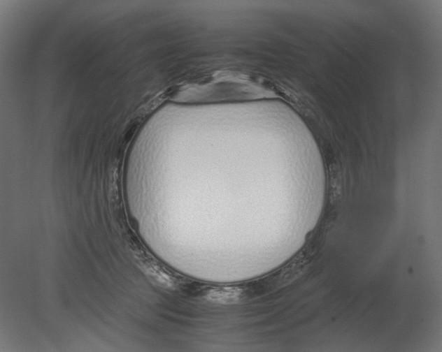 X0000080710369200701121824