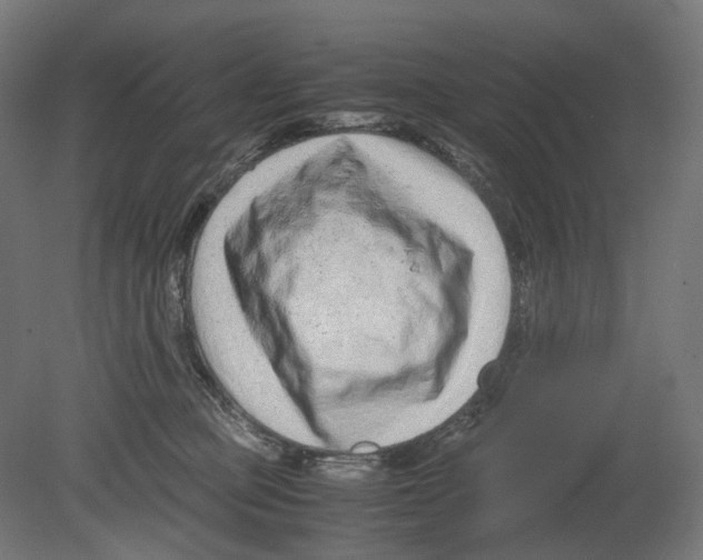 X0000080710373200701121824